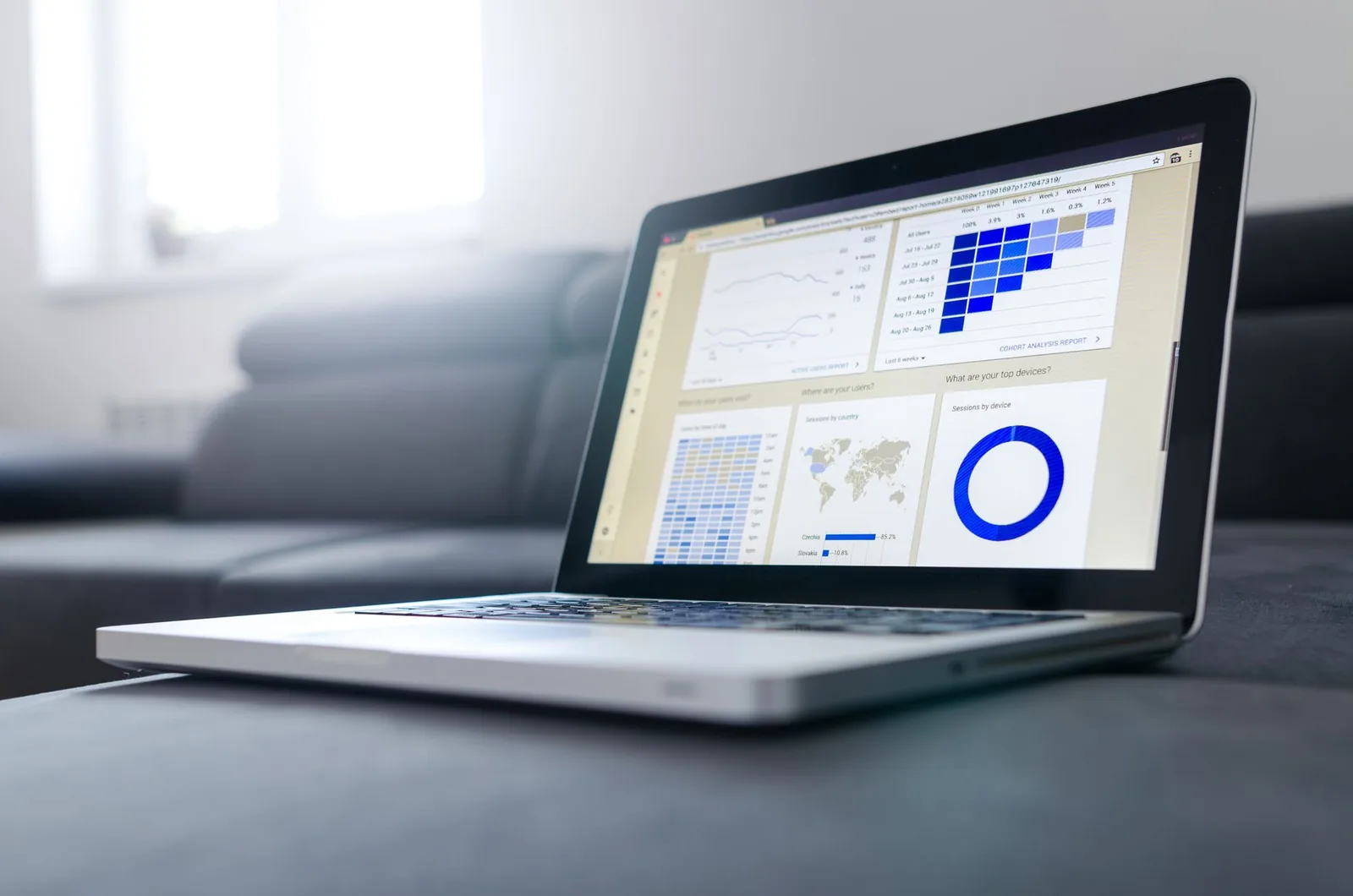 Website owner reviewing an online performance dashboard